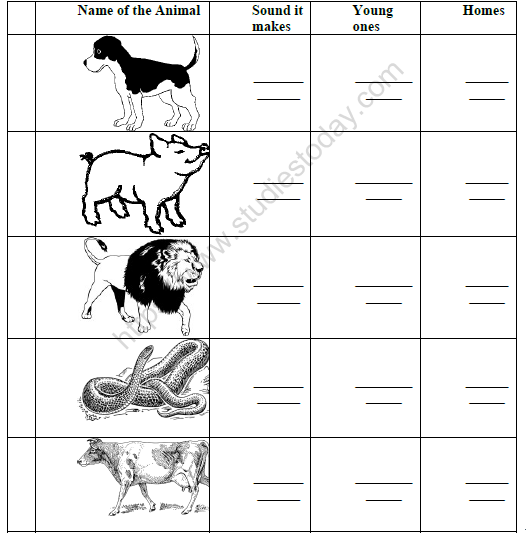 cbse-class-2-english-strange-talk-worksheet